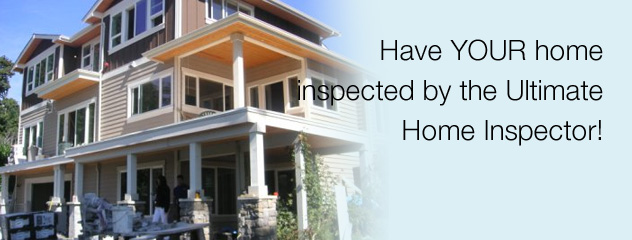 Get Your Home Inspected by the Ultimate Home Inspector
